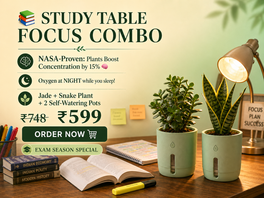 Jade Plant with Self-Watering Pot | Good Luck Vastu Plant | Oxygen Ghar
