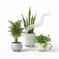 Air Purifying Plants Combo | Snake + Areca + Money Plant | NASA Proven | Oxygen Ghar - image 1