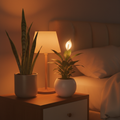 Bedroom Plants Combo | Snake Plant + Peace Lily | Better Sleep Night Oxygen | Oxygen Ghar - image 1