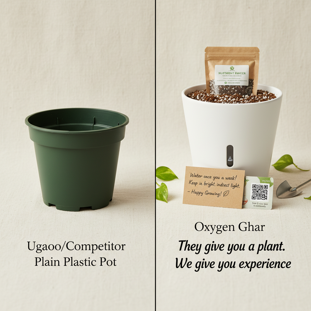 Peace Lily Plant with Self-Watering Pot | Flowering Air Purifier Indoor | Oxygen Ghar - image 4