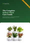 Plant Care Guide cover