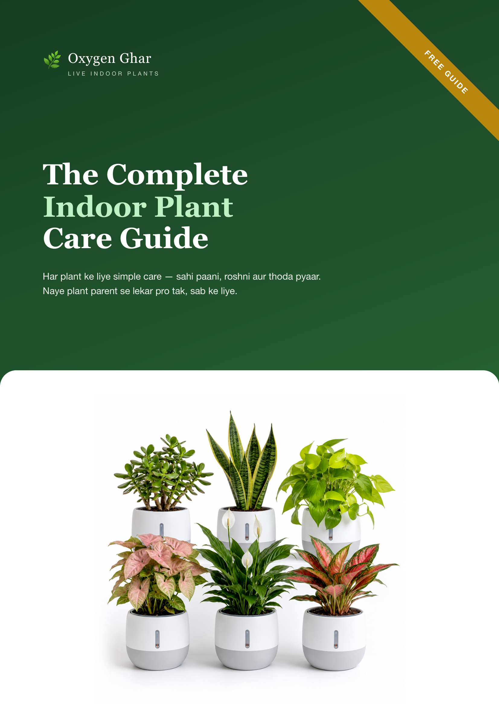 Plant Care Guide cover
